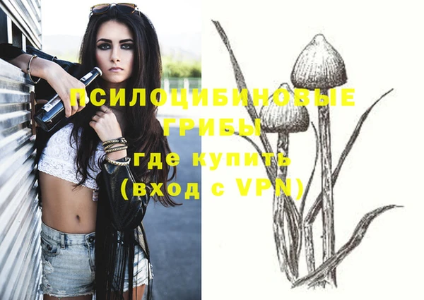 марки nbome Белокуриха