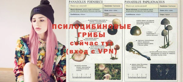 МДМА Беломорск